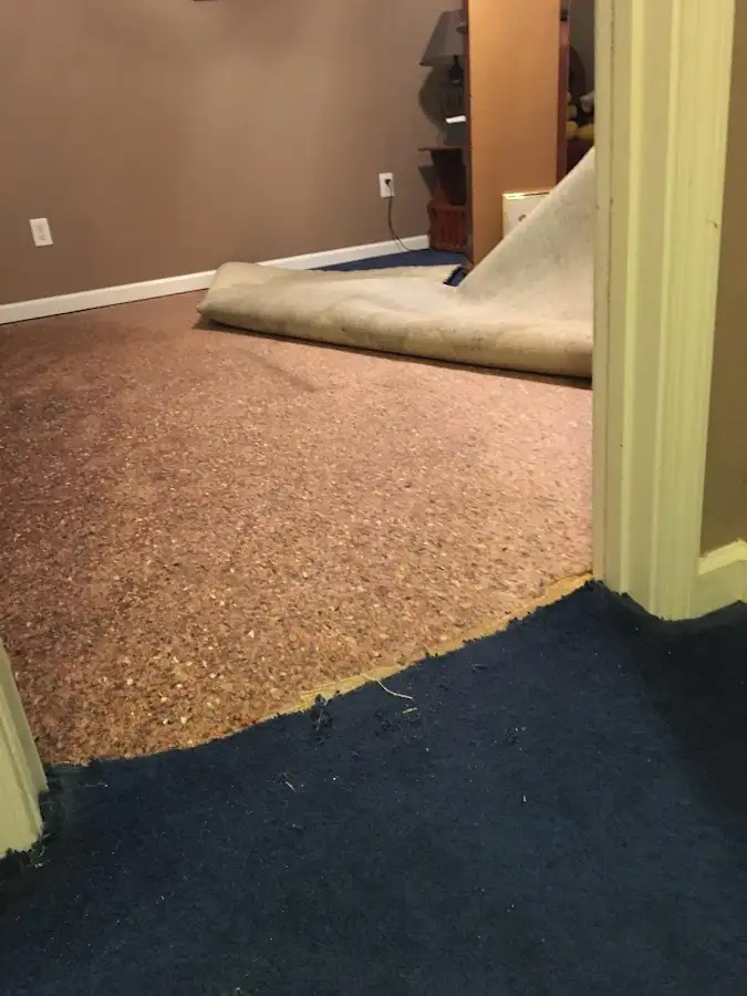 Carpet pad removal revealing water damage during Drying & Dehumidification in Beardstown